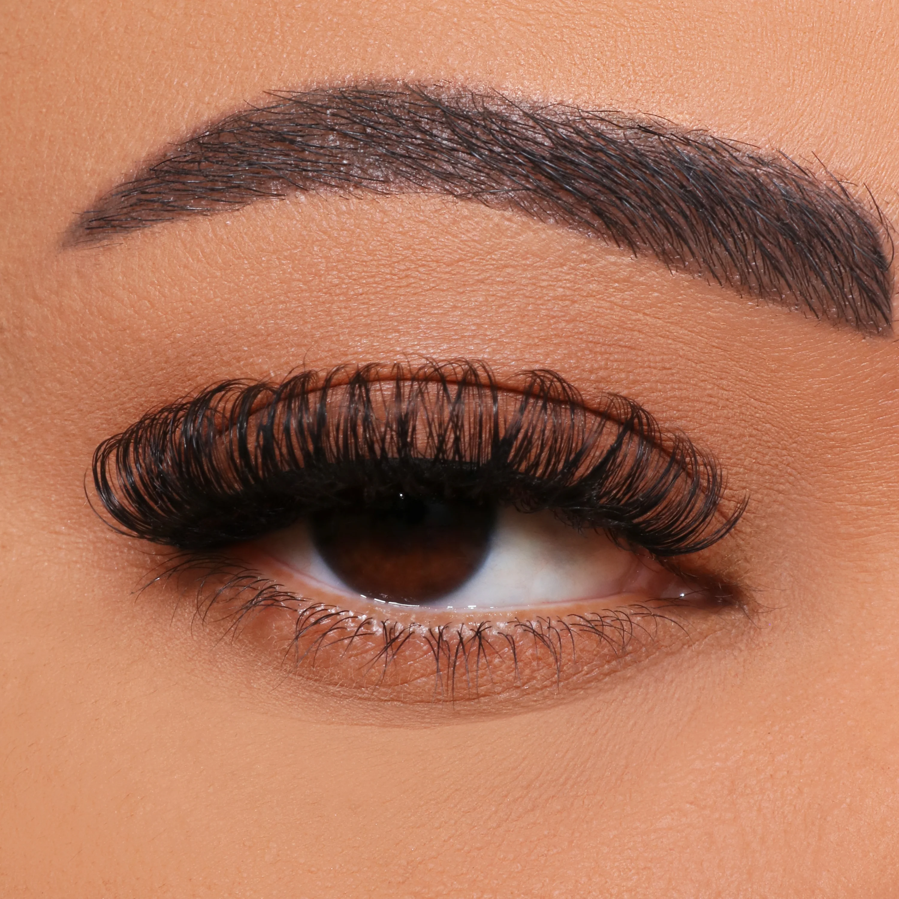 DIY çok çiçek kirpik aşılama nasıl DIY?